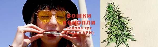 первитин Ладушкин