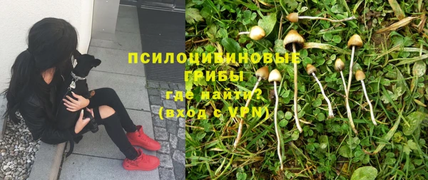 первитин Ладушкин