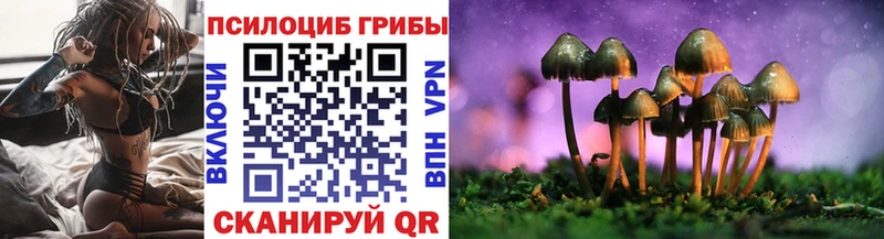Купить  Исилькуль  Псилоцибиновые грибы мицелий 